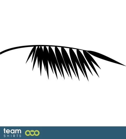 Palm tree leaf