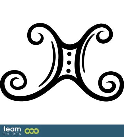 Tweeling van de dierenriem