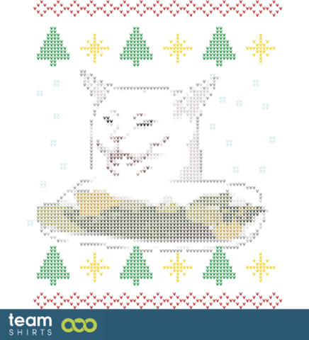 mgri verwarde kat meme 2v2 paar