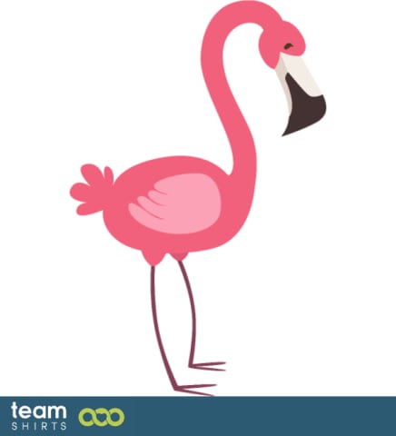 flamingo
