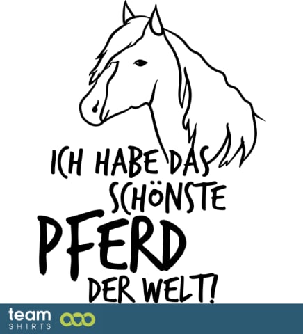 Schönstes Pferd 3