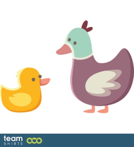 Canard mignon et canard