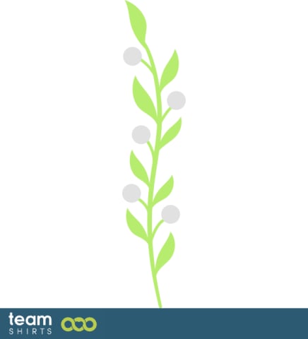 grass plant