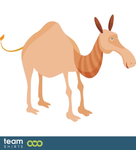 Morsom arabisk kamel