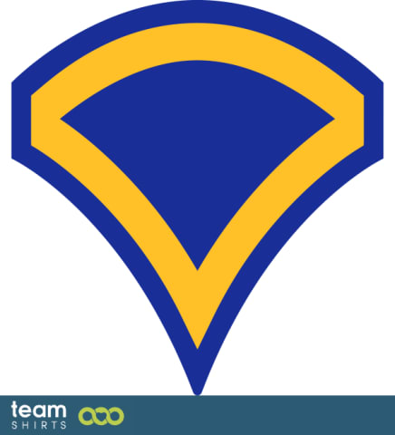 armén insignier