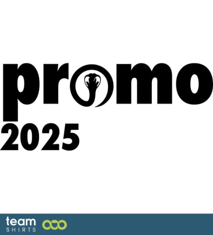 promo 2025 snake