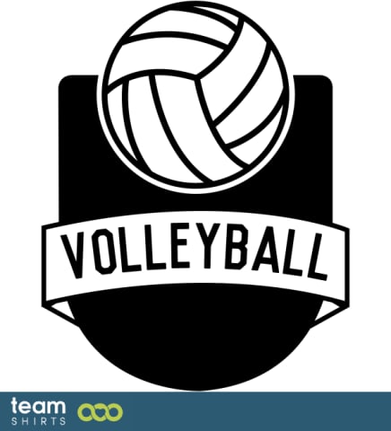 VOLLEYBALL LOGO