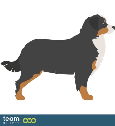 animals vectorstock 9478018 Schaefer Hund 005