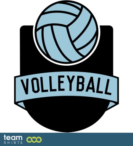 VOLLEYBALL LOGO COLOURED