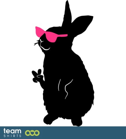 hase2