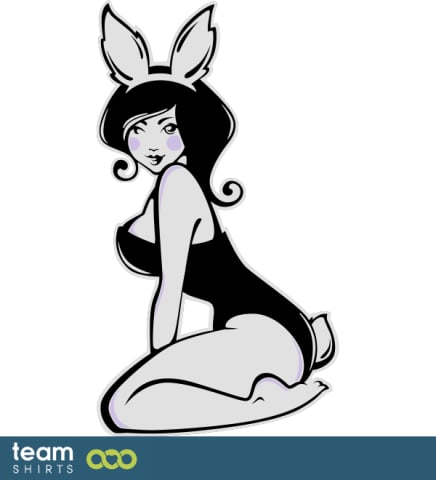 Bunny pin up