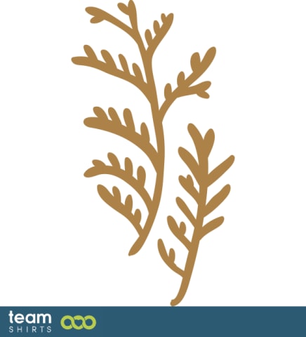 grass plant