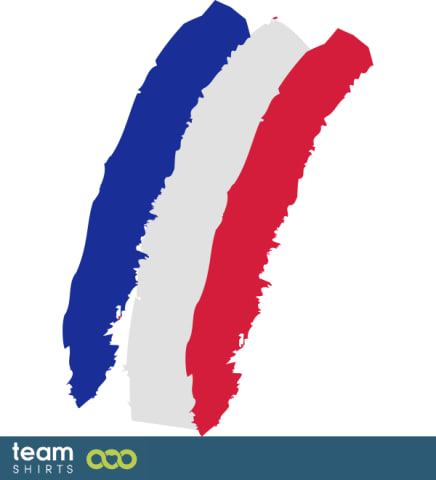 vintage flag of France