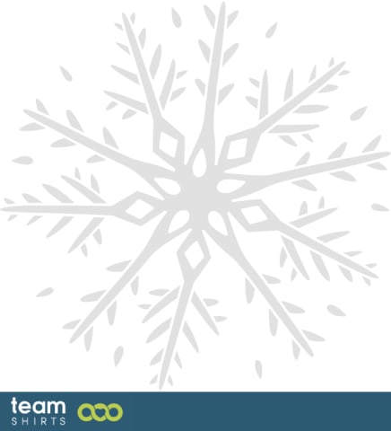 Schneeflocke vectorstock 6725226