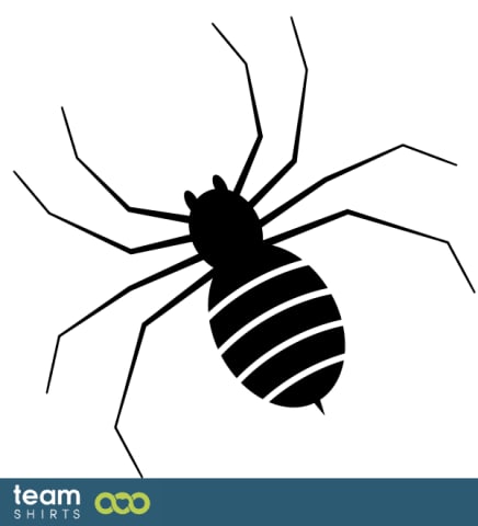 Spinne