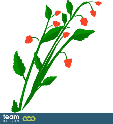 raspberry bush