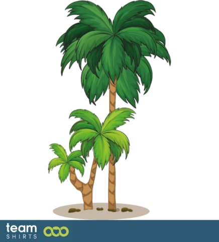 palmboom