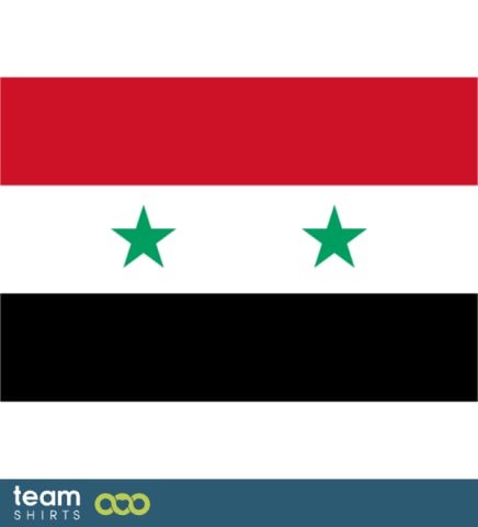 flagg syria