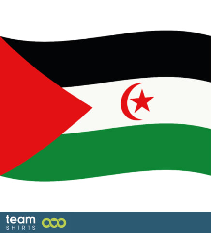 Flag Sahara occidental