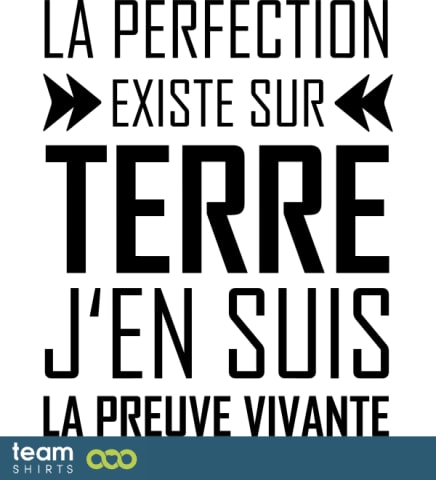 Perfectie 2