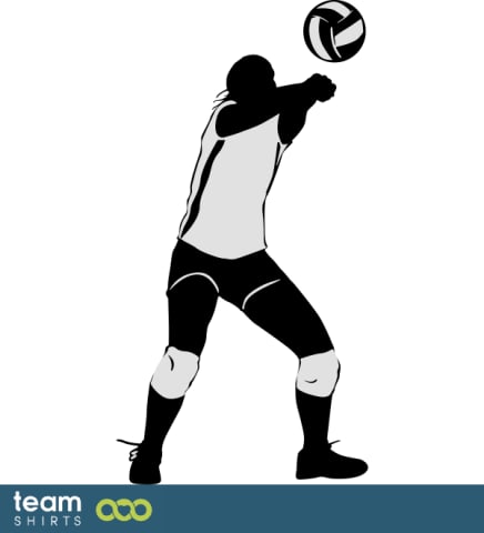 Joueur de volleyball