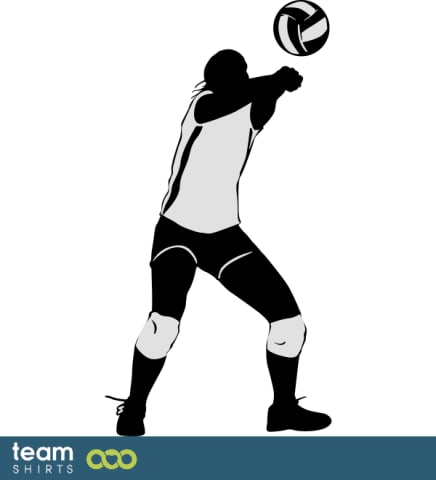 Volleyball Player