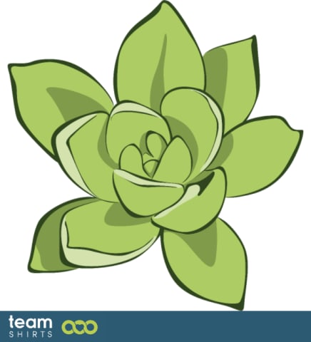 succulent