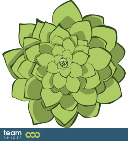 succulent