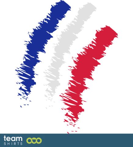 drapeau vintage de la France