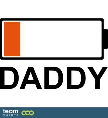 renf Batteri Pappa ts