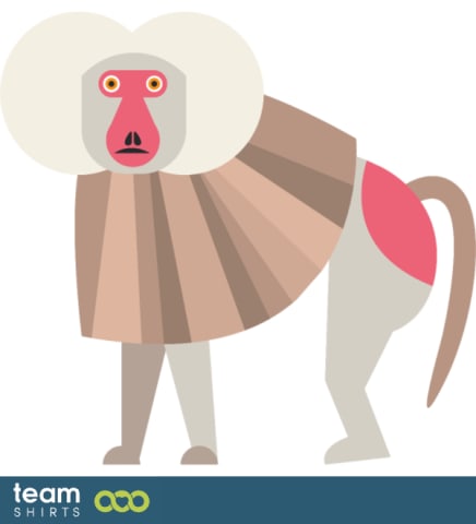 De baviaan van hamadryas