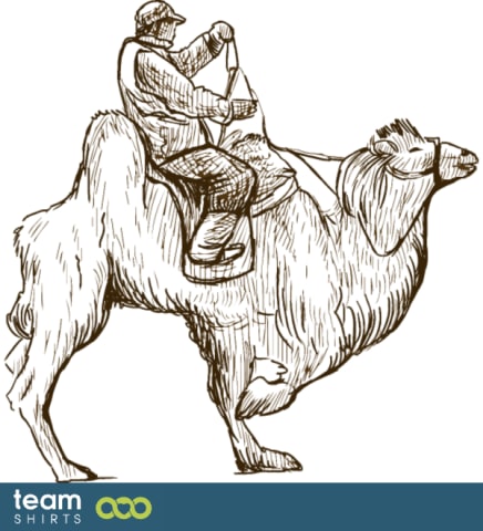 Kerl auf Kamel