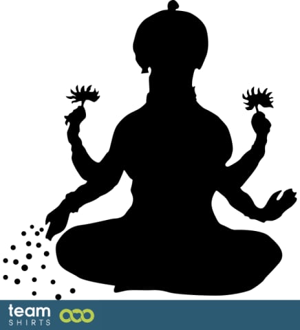 13 lakshmi vectorstock 8605987