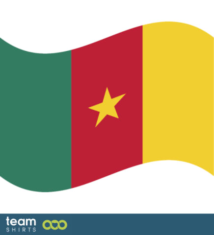 Flag Cameroon
