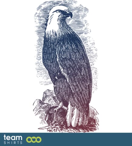 eagle