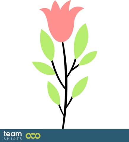 Tulp