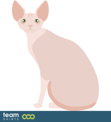 vektorpopulation 10333441Sphynxpng0694