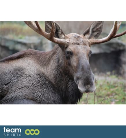 Benjamins neue Bilder