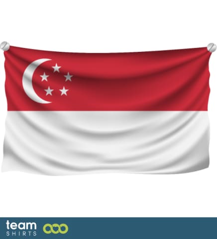 Drapeau Singapour