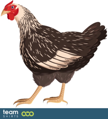 Realistisk kyckling
