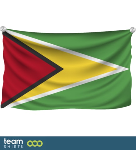 Flag Guyana