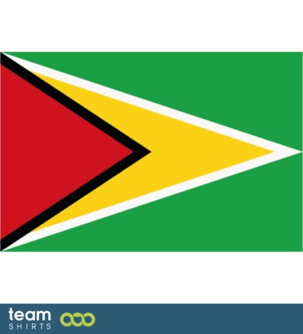 Flag Guyana