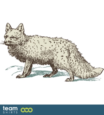 Arctic fox