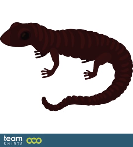Lézard