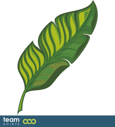 philodendron leaf