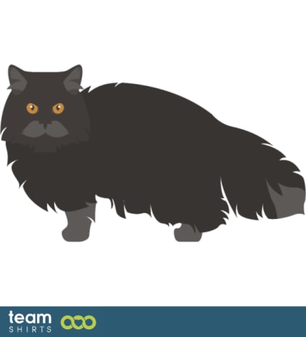 05 cat vectorstock 10334020