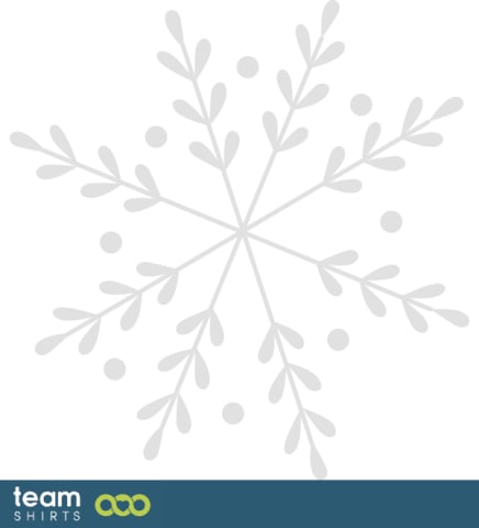 snowflake vectorstock 6438288