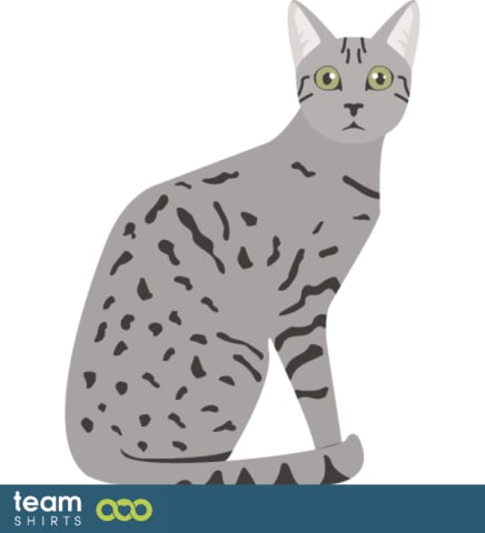 vecteur stock 10334014EgyptianMaupng0143