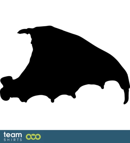Bat Wing