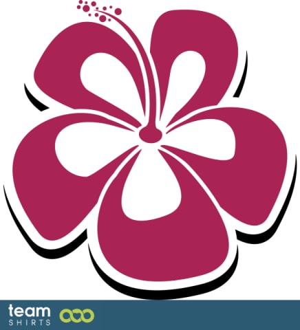 Lei hawaïen